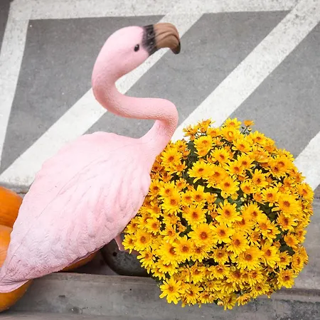 L'8 Boutique Concept *