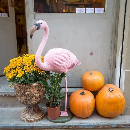 L'8 Boutique Concept * 博洛尼亚